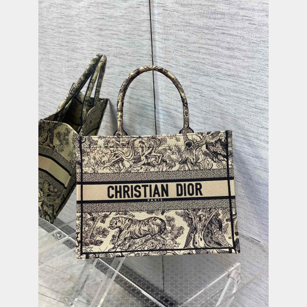 Replica Christian Dior Borsa piccola Dior Caro rosa Imitazioni Outlet Online